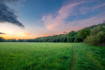 Naklejka premium Picturesque meadow landscape at sunset in spring with vibrant green grass and pink clouds