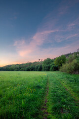 Naklejka premium Vertical view of a lush spring meadow under a pastel sunset sky with vibrant green grass