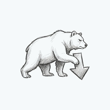 Bear Market Concept: Bear Walking Down Arrow, Sketch