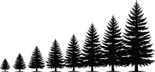 Fototapeta premium Black Silhouette Illustration of Evergreen Trees Arranged in Progressive Growth Sequence Representing Nature Development and Scaling Concept