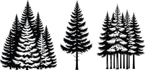 Fototapeta premium Black Silhouette Illustrations of Evergreen Pine Trees Depicting Dense Forest Cluster, Single Symmetrical Tree and Spaced Woodland Group