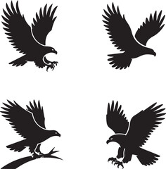 Fototapeta premium Four black eagle silhouettes in various flying and hunting poses isolated on a white background, for avian or, wildlife themed