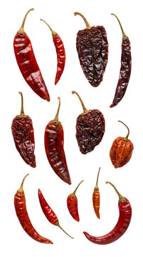 Dried chili peppers collection, assorted spicy red and dark brown hot peppers, organic dehydrated mexican spices for culinary cooking and food seasoning isolated PNG with Transparent Background