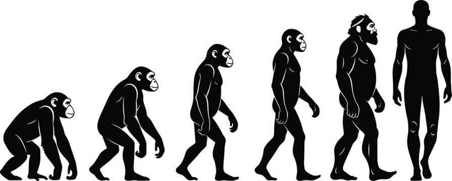 Vector illustration of human evolution from ape to modern man, concept of development, anthropology, science, biology, education, and prehistoric transformation.
