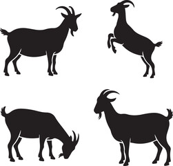 Fototapeta premium Set of four black goat silhouettes in various standing and grazing poses isolated on a white background, for farm animal