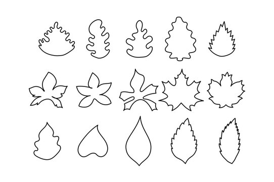 leaves outline icons collection set