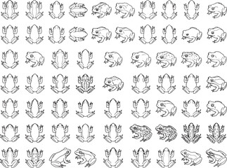 Fototapeta premium A collection of frog illustrations showcasing diverse poses and species, rendered in a clear, outline style.