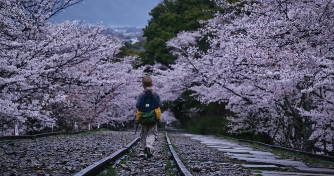 Lone kid with backpack walking alone on tracks with surrounding Cherry blossom trees
