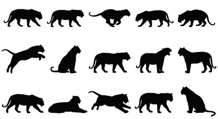 Obraz premium Dynamic Black Panther Silhouettes A Comprehensive Collection of Big Cat Poses, Featuring Various Movements and Actions
