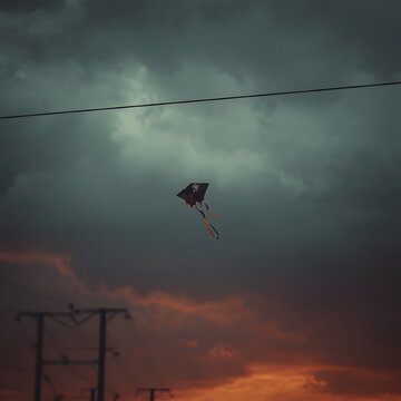 Black kite soaring against a dramatic sky with dark clouds and a vibrant orange sunset below.