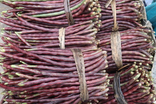 yardlong bean stock on shop for sell