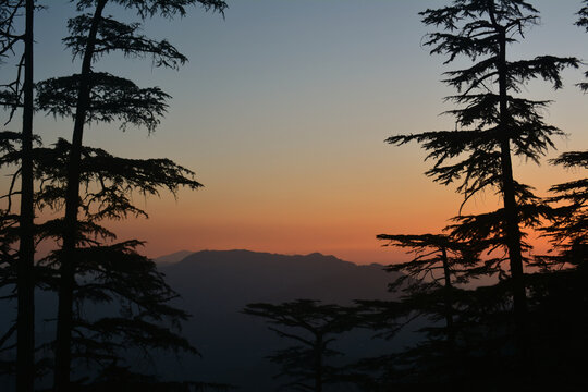Glowing orange and golden colors of a sunset fill the sky, framed by the dark, intricate silhouettes of tall pine trees on either side relates to nature and landscapes, tranquility, evening themes