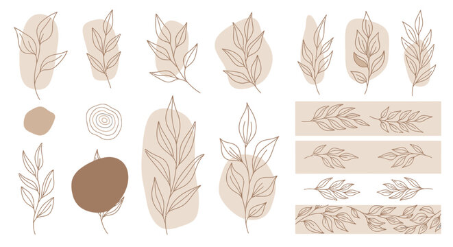 Collection of various dry leaf shapes.