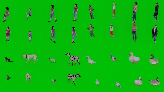 3D animated cartoon animation of mixed crowd with people and various animals moving on bright green screen chromakey background. Great for nature wildlife diversity content motion graphics and creativ
