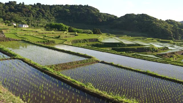 棚田（佐賀県　駄竹の棚田）