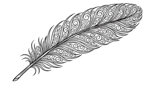 Intricate black feather with swirling patterns