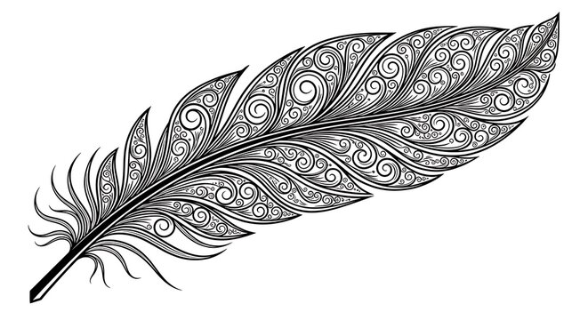 Ornate feather with swirling patterns