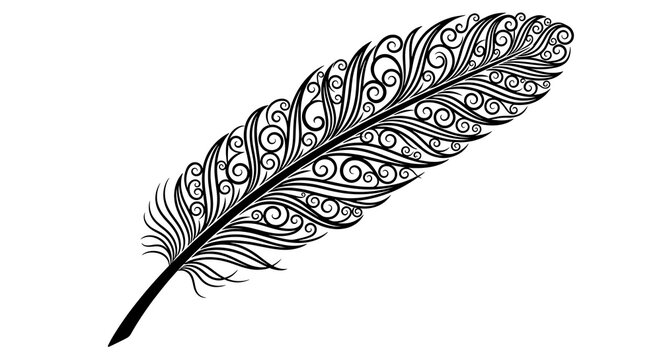 Ornate black feather with swirling patterns