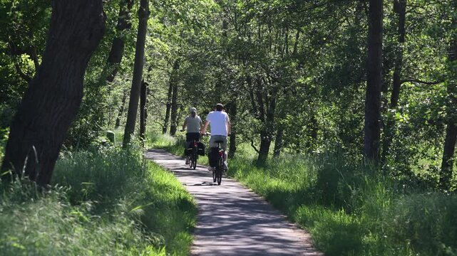 Couple enjoying a leisurely bike ride through a beautiful green forest path