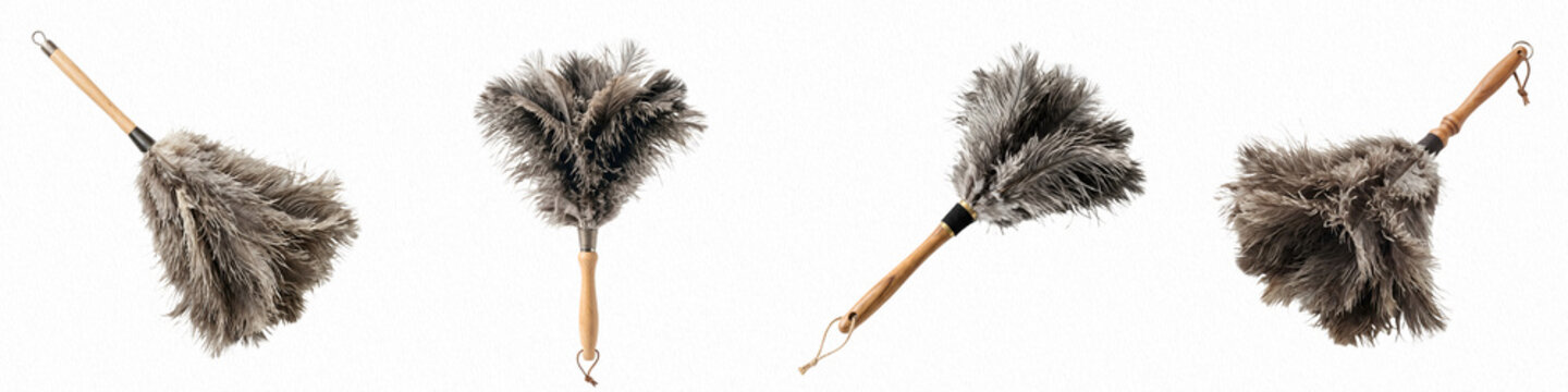 set of feather dusters with wooden handle isolated on white background PNG photo ,,,