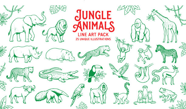 Illustration of Jungle Animals in Tropical Rainforest Wildlife Collection
