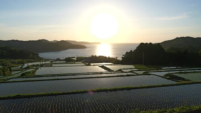 夕日が海に沈みかける頃の棚田（佐賀県　駄竹の棚田）