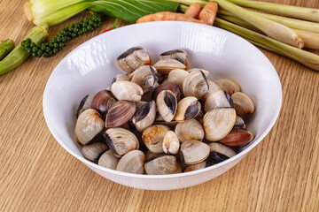 Raw fresh wild clams mollusc © Andrei Starostin