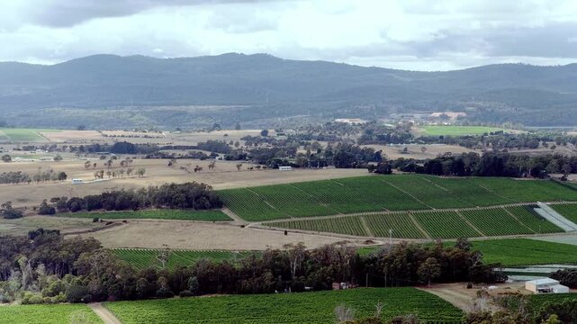 Bridge Batman across Tamar valley river in Tasmania &ndash; close up aerial panorama.