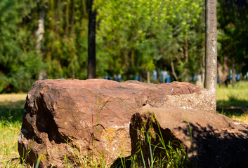 Fototapeta premium A flat natural stone boulder in a green forest park, serving as an organic podium platform for product exhibition with blurred trees in the background. Outdoor setting.