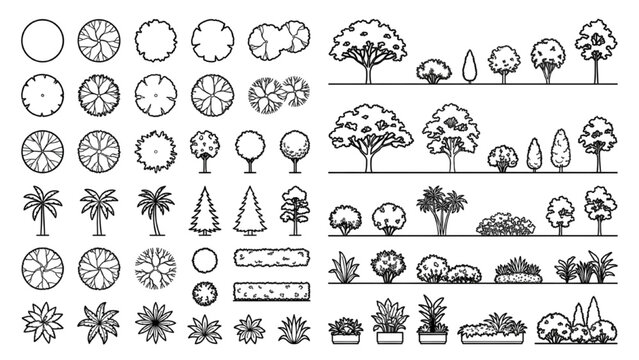 Landscape Vegetation CAD Symbols with Trees Palms Shrubs and Planting Plan Elements