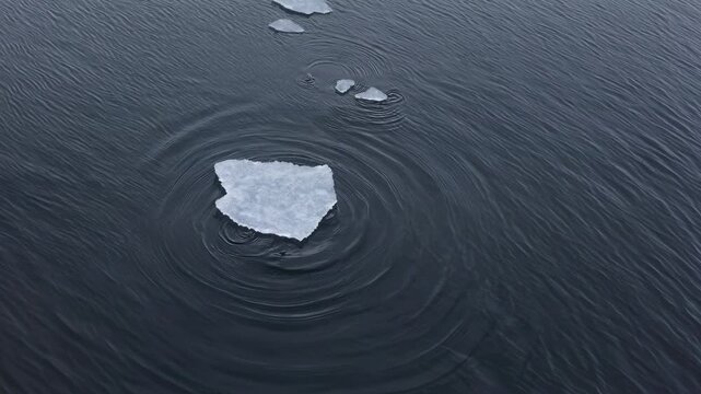 Iceberg fragment floating on dark water surface, creating ripples in the surrounding water, with additional smaller ice pieces visible in the background
