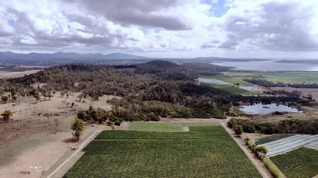 Valley of Tamar river and wine making region of Tasmania vineyards agriculture fields aerial panorama.