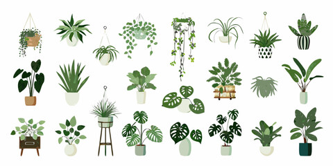 houseplant collection in flat vector style plants © Smritykona