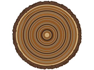 Fototapeta premium Tree trunk cross-section vector with annual growth rings on white background.