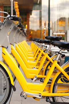 Yellow bicycles in a row at a rental station