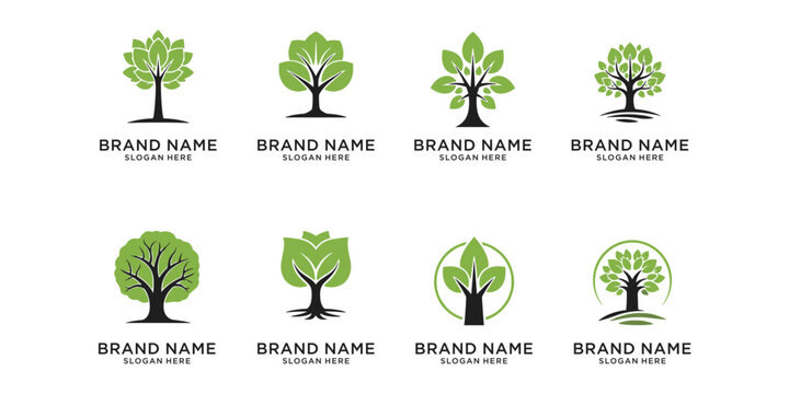 Collection of green tree logo designs for eco brands.