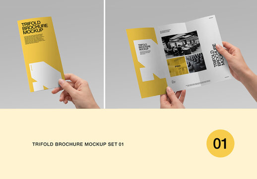 Trifold Brochure Mockup Set 01