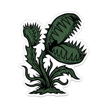 Green Venus flytrap with sharp teeth and leaves