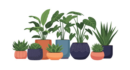 Fototapeta premium Decorative assortment of various green indoor house plants in different shaped and colored ceramic pots for home decor.