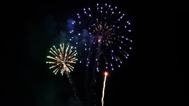 A single firework blooms brightly in the dark night sky