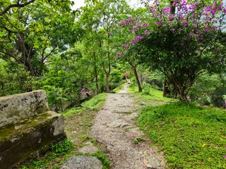 Fototapeta premium Scenic view of lush green vegetation and rolling Himalayan foothills under dramatic cloudy skies in Darjeeling, West Bengal, India. Natural landscape featuring rural countryside, monsoon season