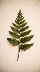Obraz premium Elegant fern leaf mobile wallpaper