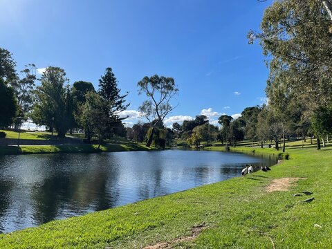 River Torrens, Adelaide, SA, Australia