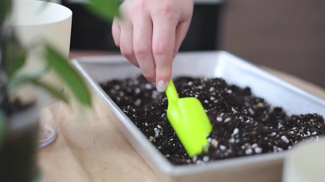 Close-Up of Hand Mixing Potting Soil and Perlite with Green Shovel in White Tray