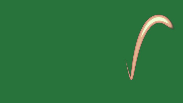 Pink wave curved line border bird flying in the sky letter v on gold small hole middle  figure design style layers