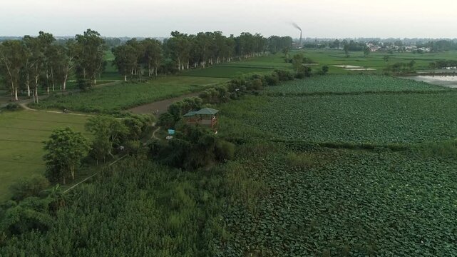 Wide drone shot showcasing the expansive Harike Wetlands ecosystem and natural habitat from above.