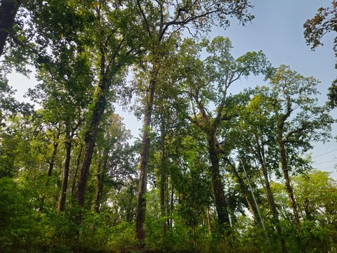 Scenic footage of Devghat Dham, one of Nepal's most revered Hindu pilgrimage destinations.Devghat is known for its temples, ashrams, spiritual significance, cremation ghats, and religious ceremonies. 