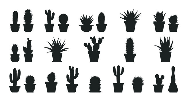 Silhouetted collection of diverse cacti and succulents in various pots suitable for desert flora or home garden design elements.