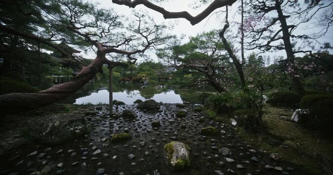 Wet pond shore with scattered rocks and bare trees - wide shot