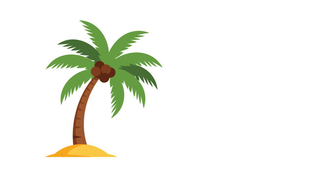 Green tropical palm tree with brown coconuts on a small sandy patch isolated on a wide white background for travel themes.